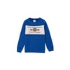 Erkek Çocuk Sweatshirt