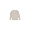 Erkek Çocuk Sweatshirt