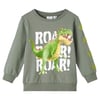 Erkek Çocuk Sweatshirt