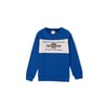 Erkek Çocuk Sweatshirt
