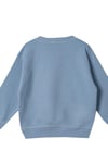 Erkek Çocuk Sweatshirt