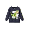 Erkek Çocuk Sweatshirt