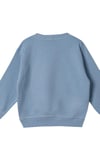 Erkek Çocuk Sweatshirt