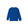 Erkek Çocuk Sweatshirt
