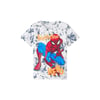 Erkek Çocuk T-shirt 13217843