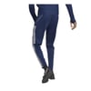 Erkek Eşofman Altı HS3492