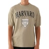 Erkek Harvard Baskılı T-shirt