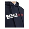 Erkek Kapüşonlu Sweatshirt 12233599