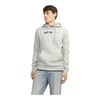 Erkek Kapüşonlu Sweatshirt 12233599