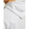 Erkek Kapüşonlu Sweatshirt 12262421