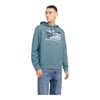 Erkek Kapüşonlu Sweatshirt 12277619tr