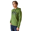 Erkek Kapüşonlu Sweatshirt 50270760