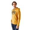 Erkek Kapüşonlu Sweatshirt 50270760