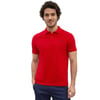 Erkek Polo Yaka T-shirt