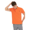 Erkek Polo Yaka T-shirt 1350446