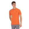 Erkek Polo Yaka T-shirt 1350446