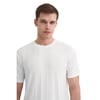 Erkek Regular Fit Bisiklet Yaka Tişört 4203