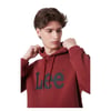 Erkek Regular Fit Normal Kesim Kapüşonlu  Bordo Big Logo Sweatshirt