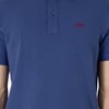 Erkek Regular Fit Polo Yaka Basic T-Shirt