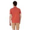 Erkek Regular Fit Polo Yaka Basic T-Shirt