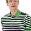 Erkek Regular Fit Polo Yaka Çizgili Tişört