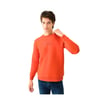 Erkek Regular Fit Sweatshirt