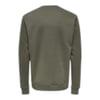 Erkek Sweatshirt 