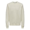 Erkek Sweatshirt 