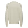 Erkek Sweatshirt 