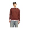 Erkek Sweatshirt 12241694