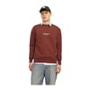 Erkek Sweatshirt 12241694