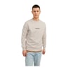 Erkek Sweatshirt 12241694