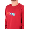 Erkek Sweatshirt