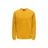 Erkek Sweatshirt 22018683