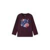 Erkek Sweatshirt 4002