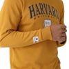 Erkek Sweatshirt Hardal