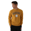 Erkek Sweatshirt Hardal