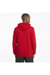 Erkek Sweatshırt Kapüşonlu Ess Big Logo Hoodie Tr 586688