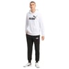 Erkek Sweatshırt Kapüşonlu Ess Big Logo Hoodie Tr 586688