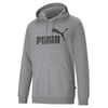Erkek Sweatshırt Kapüşonlu Ess Big Logo Hoodie Tr 586688