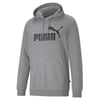 Erkek Sweatshırt Kapüşonlu Ess Big Logo Hoodie Tr 586688