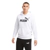 Erkek Sweatshırt Kapüşonlu Ess Big Logo Hoodie Tr 586688