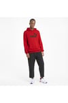 Erkek Sweatshırt Kapüşonlu Ess Big Logo Hoodie Tr 586688