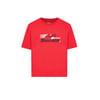 Graphic Tee B Short Sleeve Büyük Erkek Çocuk Kırmızı Tshirt SK241020-600