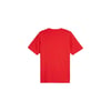 Grehics Box Tea Tişort Erkek T-shirt Kırmızı 680172