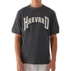 Harvard Baskılı Erkek T-shirt