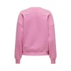 Kadın Sweatshirt  ON.15329876
