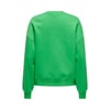 Kadın Sweatshirt  ON.15329876