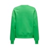 Kadın Sweatshirt  ON.15329876
