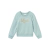 Kız Çocuk Sweatshirt 13233837